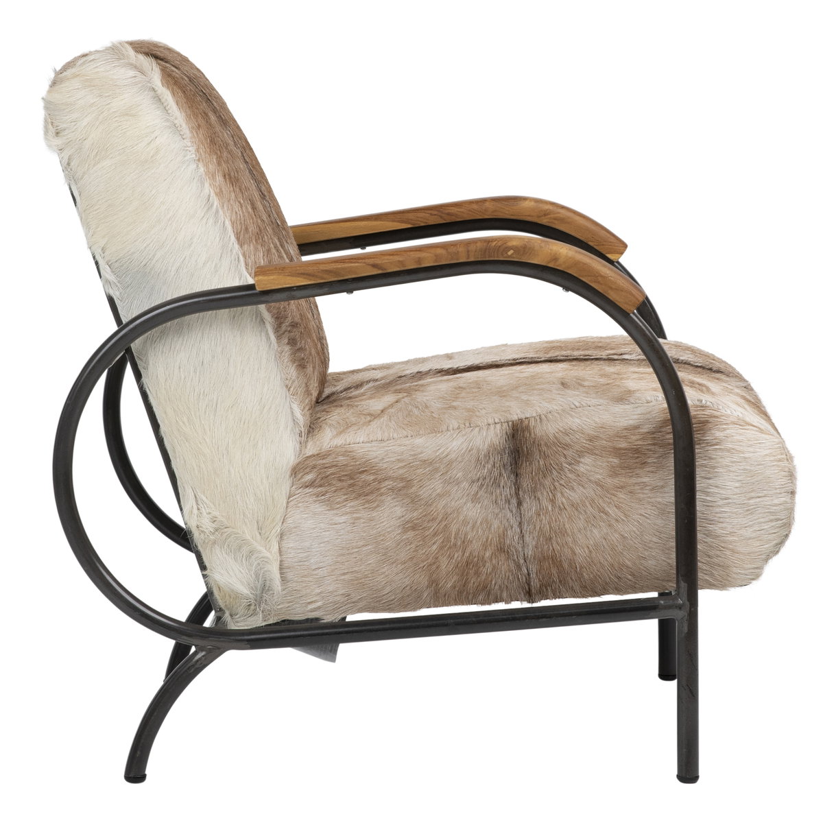 Laney Occasional Chair, Accent Chair by Dovetail, 23.5" width x 32.12" height x 32" depth View 3
