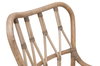 Caprice Dining Chair, Set of 2, by Essentials for Living, 22.5" width x 34" height x 22" depth thumbnail 7