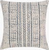 Janya Accent Pillow, Decorative Pillow by Surya, 20" length x 20" width thumbnail