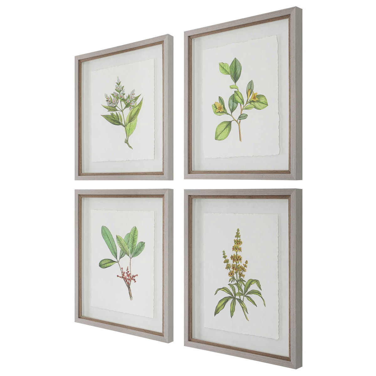 Wildflower Study Framed Prints Set/4, Art by Uttermost, 19" width x 22" height x 1.75" depth View 5