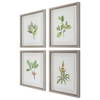 Wildflower Study Framed Prints Set/4, Art by Uttermost, 19" width x 22" height x 1.75" depth thumbnail 5