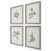 Wildflower Study Framed Prints Set/4, Painting by Uttermost, 19" width x 22" height x 1.75" depth thumbnail 5