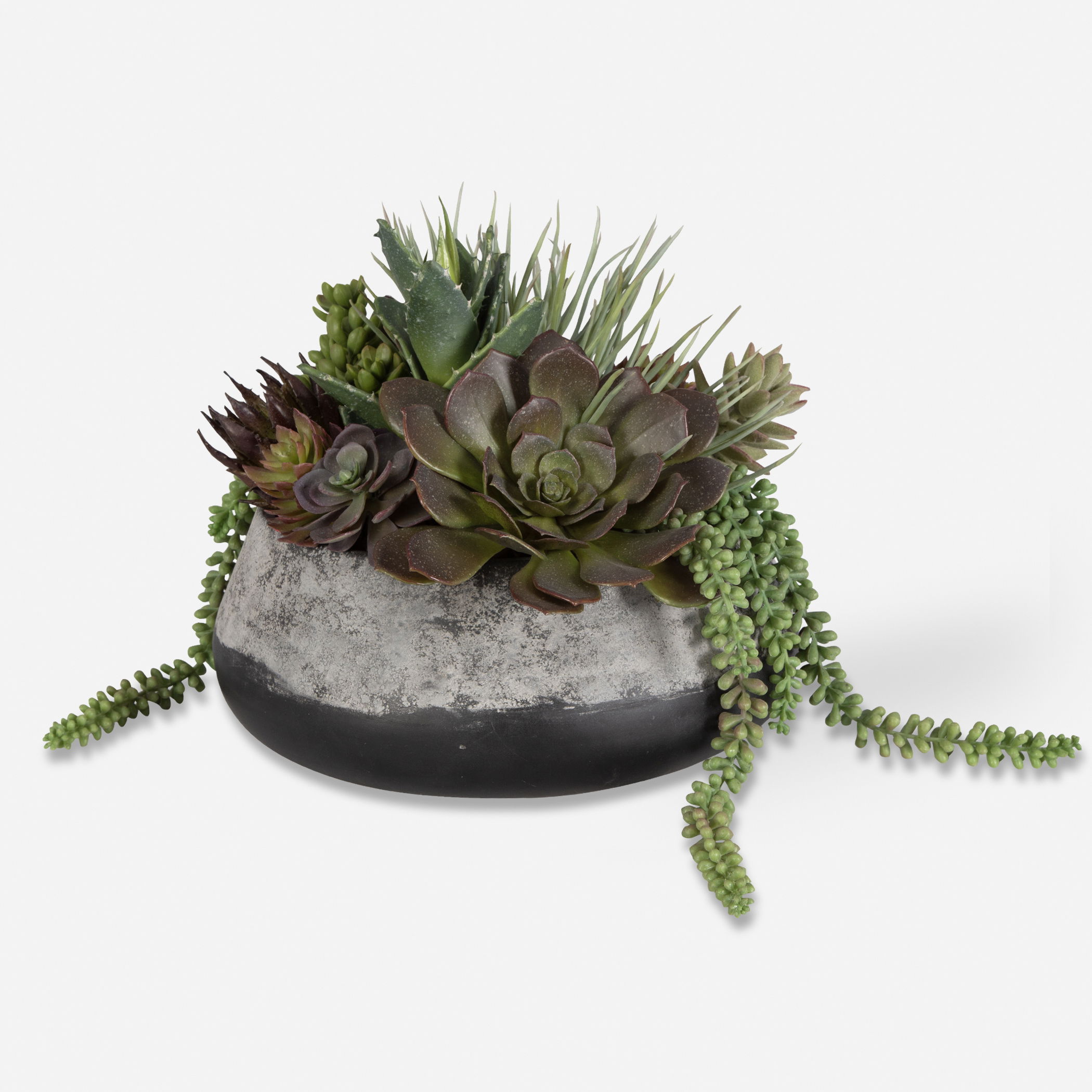 Yuma Succulent Centerpiece large image 