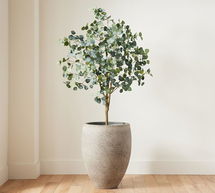 Online Designer Combined Living/Dining Faux Silver Dollar Eucalyptus Tree 7' with XL Sedona Stone Planter