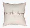Pumpkin Spice Accent Pillow, Decorative Pillow by Surya, 18" length x 18" width thumbnail