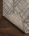Loloi Rainier Rug, 2'2" length x 3'9" width thumbnail 6