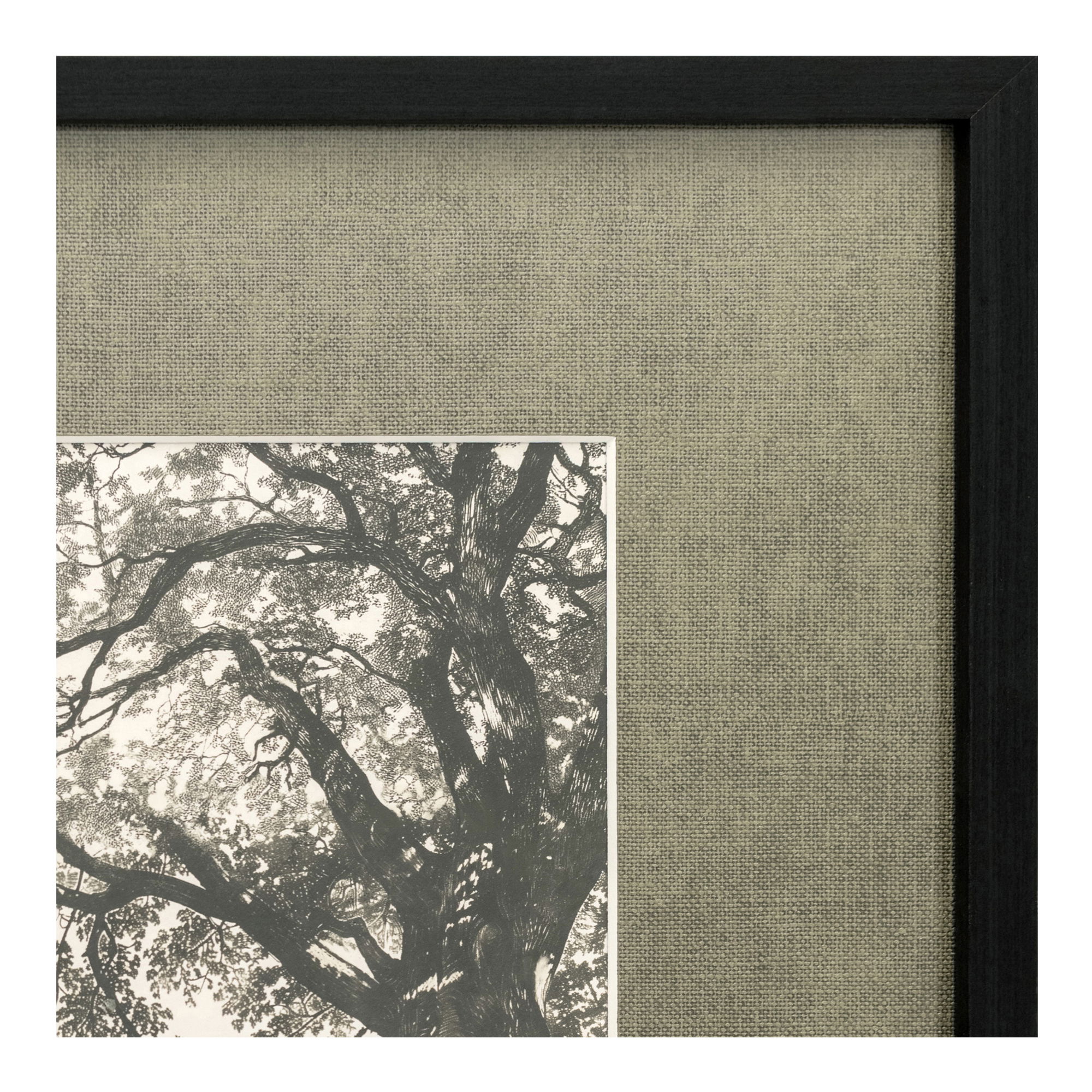Arise Framed Print large image 