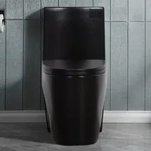 Online Designer Living Room AB-23T01-MB 1.1/1.6 GPF Dual-Flush Elongated One-Piece Toilet with 17.13 in. Comfort Seat Height, Ceramic Glazed Surface(Soft Close Seat Included), 4 Colors Option