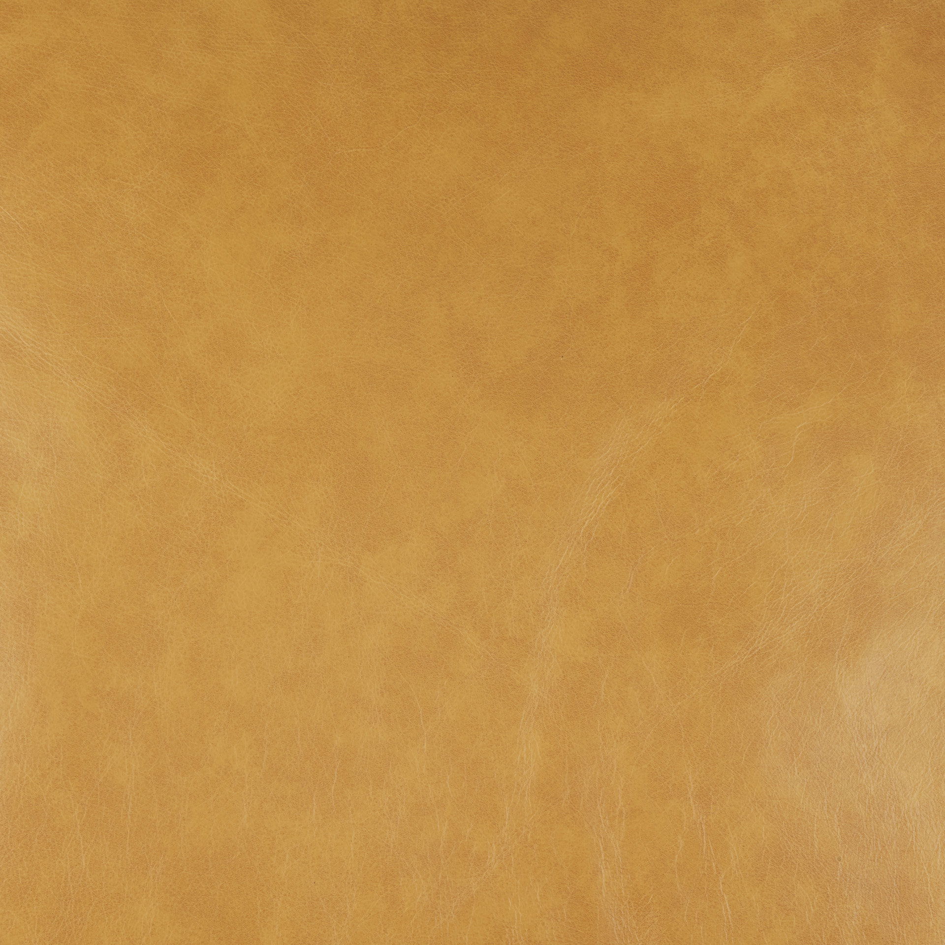 D'Arcy 88.0L x 37.0W x 34.0H Tan Leather Sofa, Sofas & Sectional by Mercana, 88.19" length x 36.61" width x 33.86" height View 3