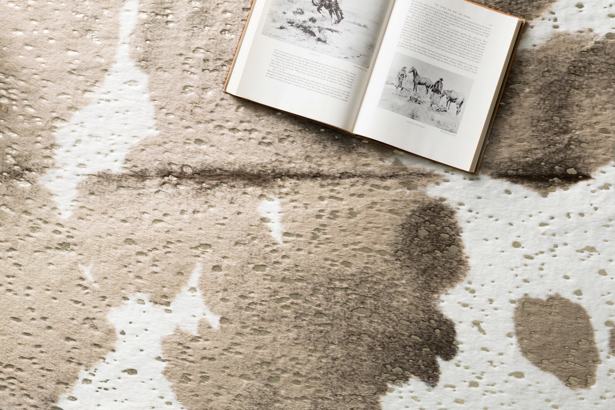 Loloi Bryce Rug, 3'10" length x 5' width View 3