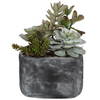 Alverio Desert Garden Succulents, Artificial Plants & Flower by Uttermost, 9.25" width x 9.5" height x 10.75" depth thumbnail 1