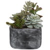 Alverio Desert Garden Succulents, Artificial Plants & Flower by Uttermost, 9.25" width x 9.5" height x 10.75" depth thumbnail 1