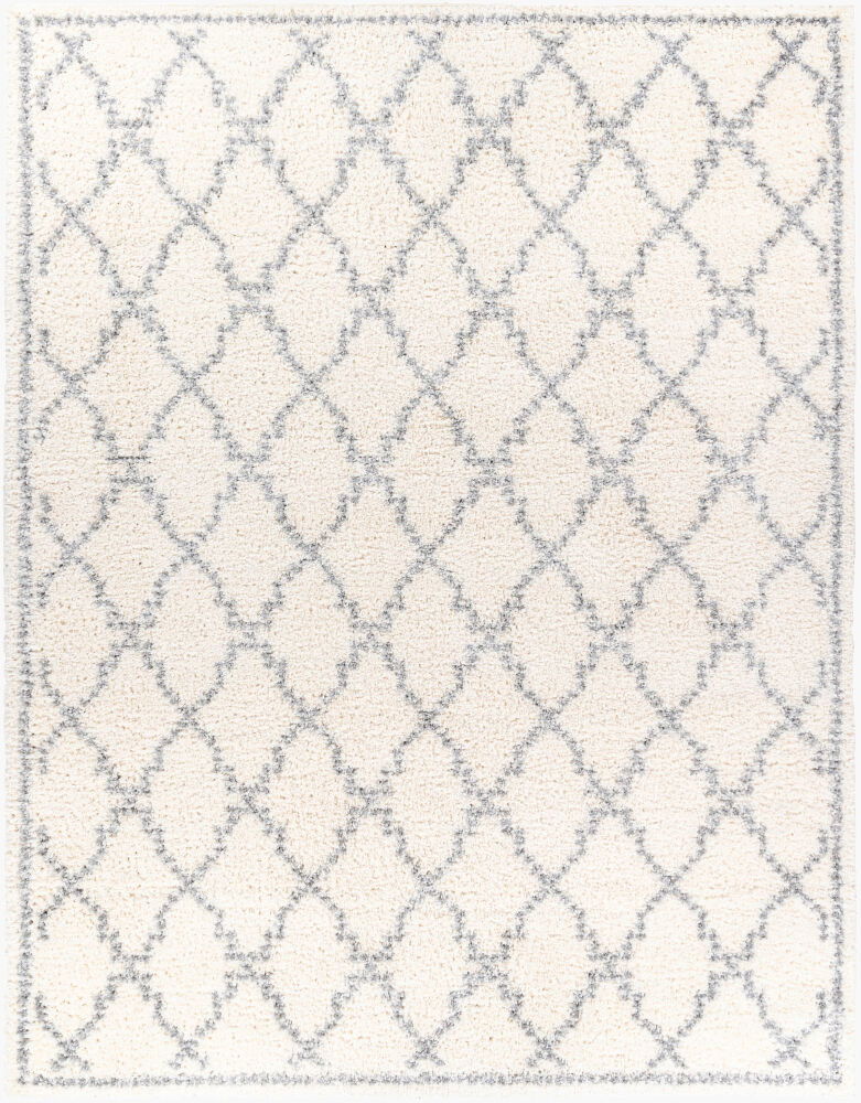 Deluxe Shag Machine Woven Rug large image 