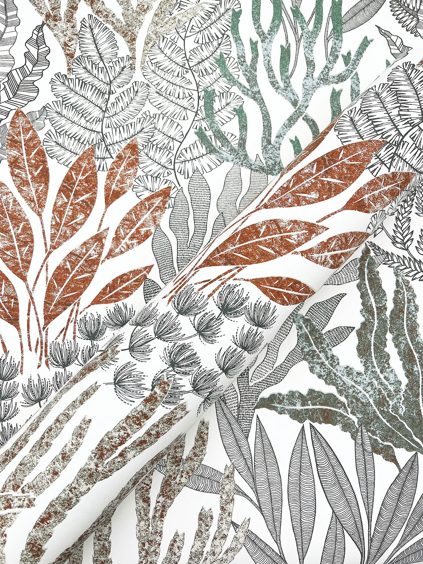 Coral Leaves Coral Black Wallpaper large image 