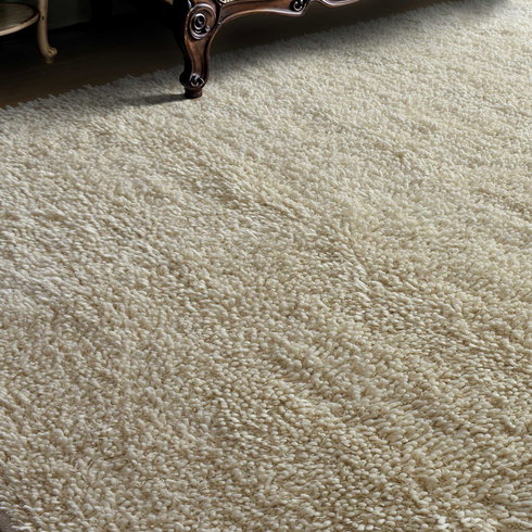 Caramont Ivory 8 X 10 Rug