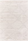 Wolly Machine Woven Rug thumbnail 0