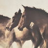 Ares thumbnail 2
