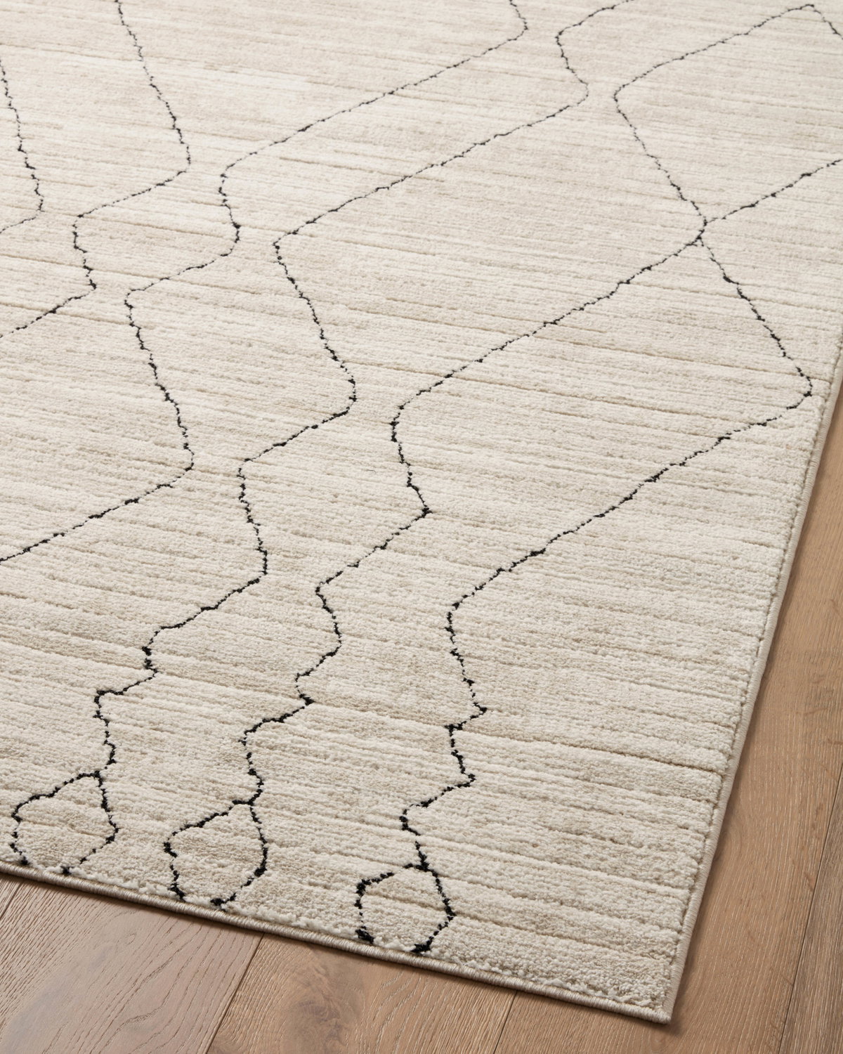 Loloi Darby Rug, 2'7" length x 4' width View 7