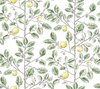 Limoncello Toile Green Wallpaper, by York Wall, 27' length x 2'3" width x 0.02" depth thumbnail 2