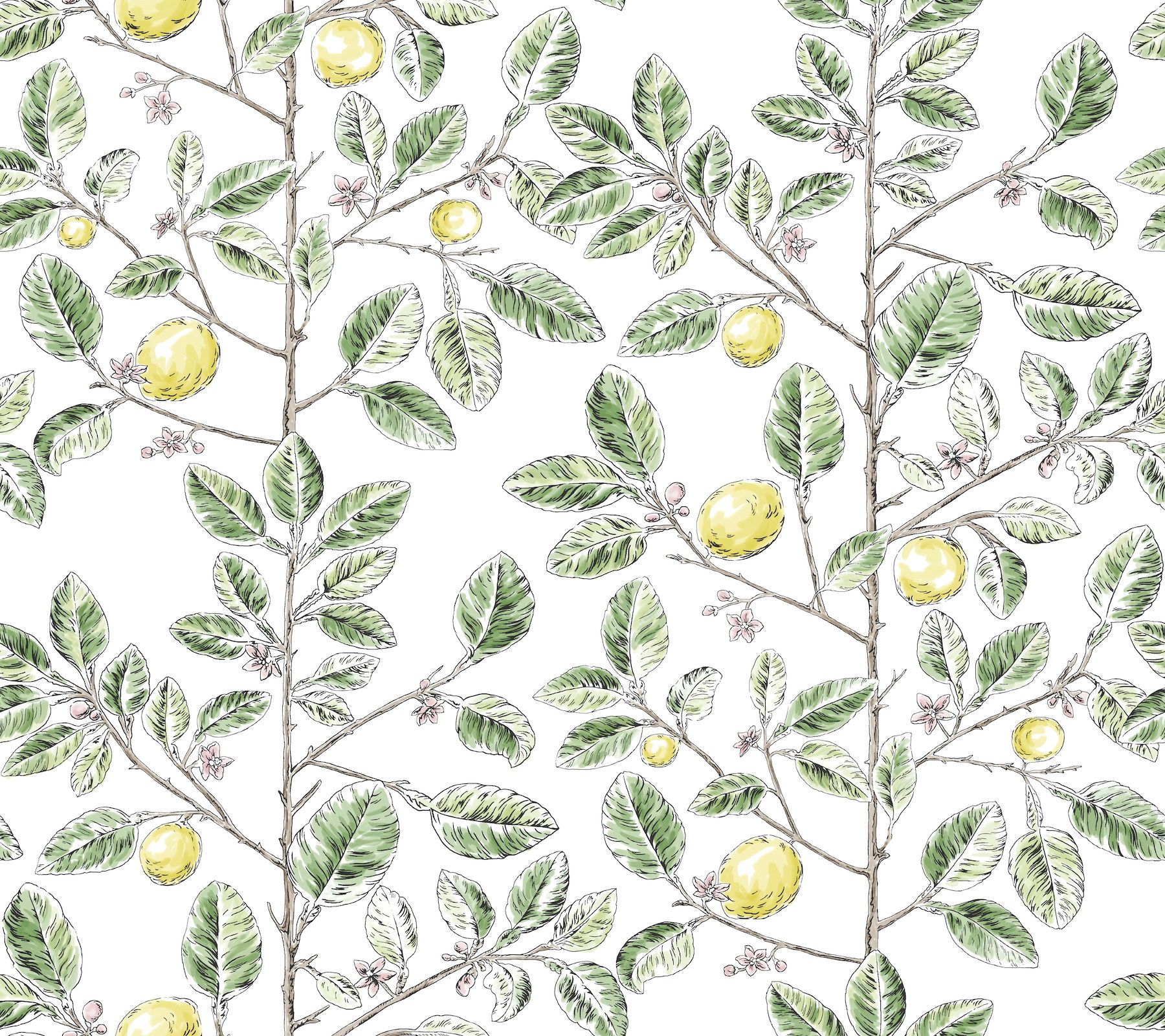 Limoncello Toile Green Wallpaper large image 