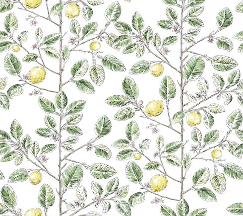Limoncello Toile Green Wallpaper