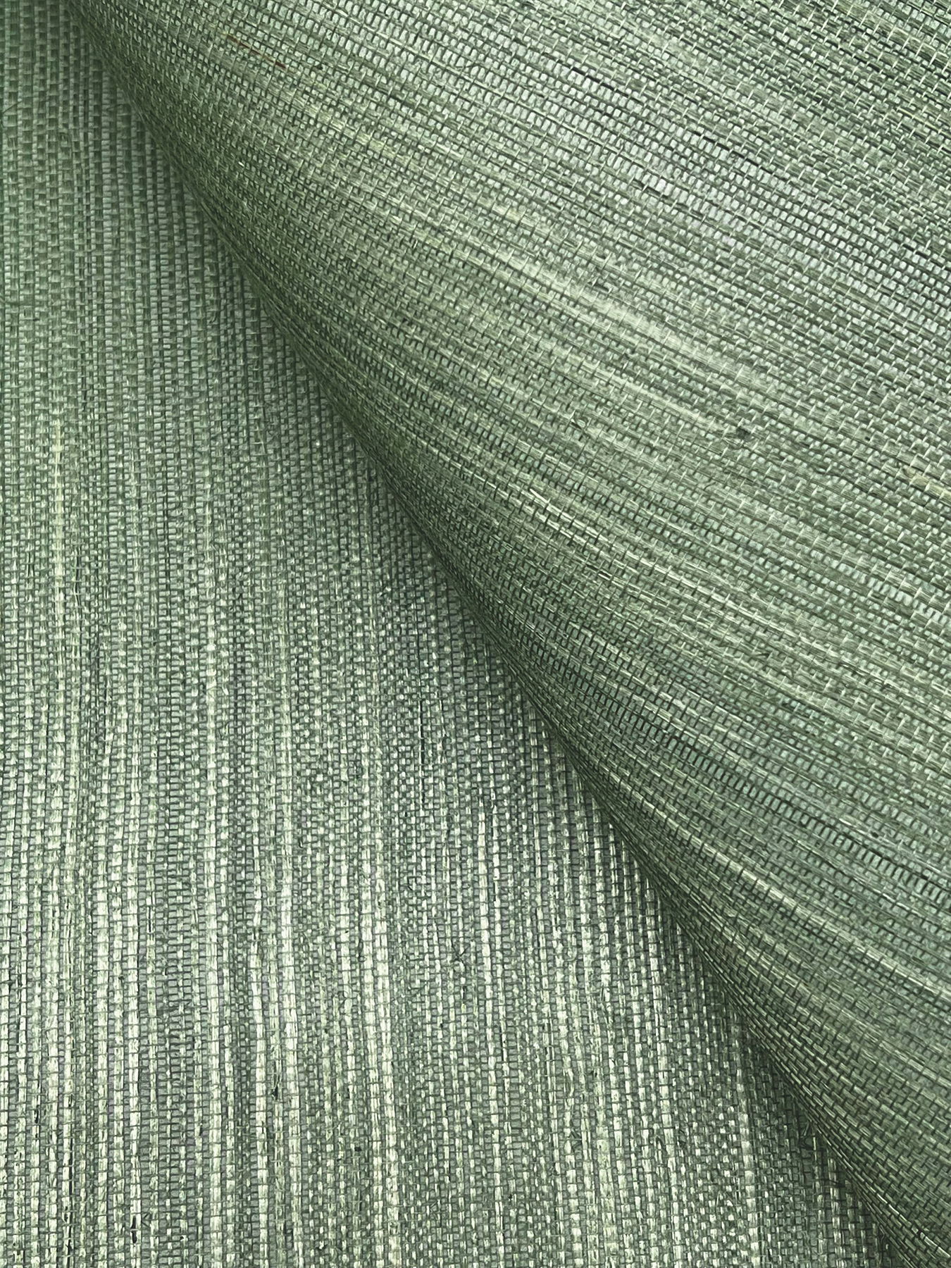 Maguey Sisal Sage Wallpaper large image 