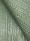 Maguey Sisal Sage Wallpaper thumbnail 2