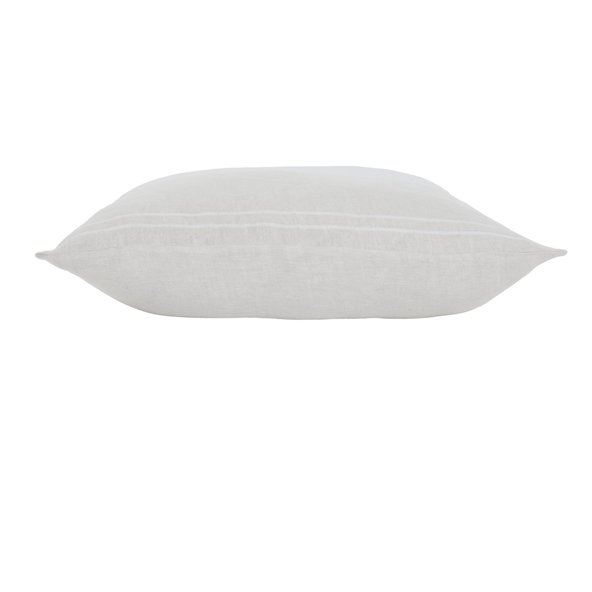Raelyn Indoor Pillow, Decorative Pillow by Renwil, 22" height x 3" depth View 2
