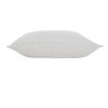 Raelyn Indoor Pillow thumbnail 1