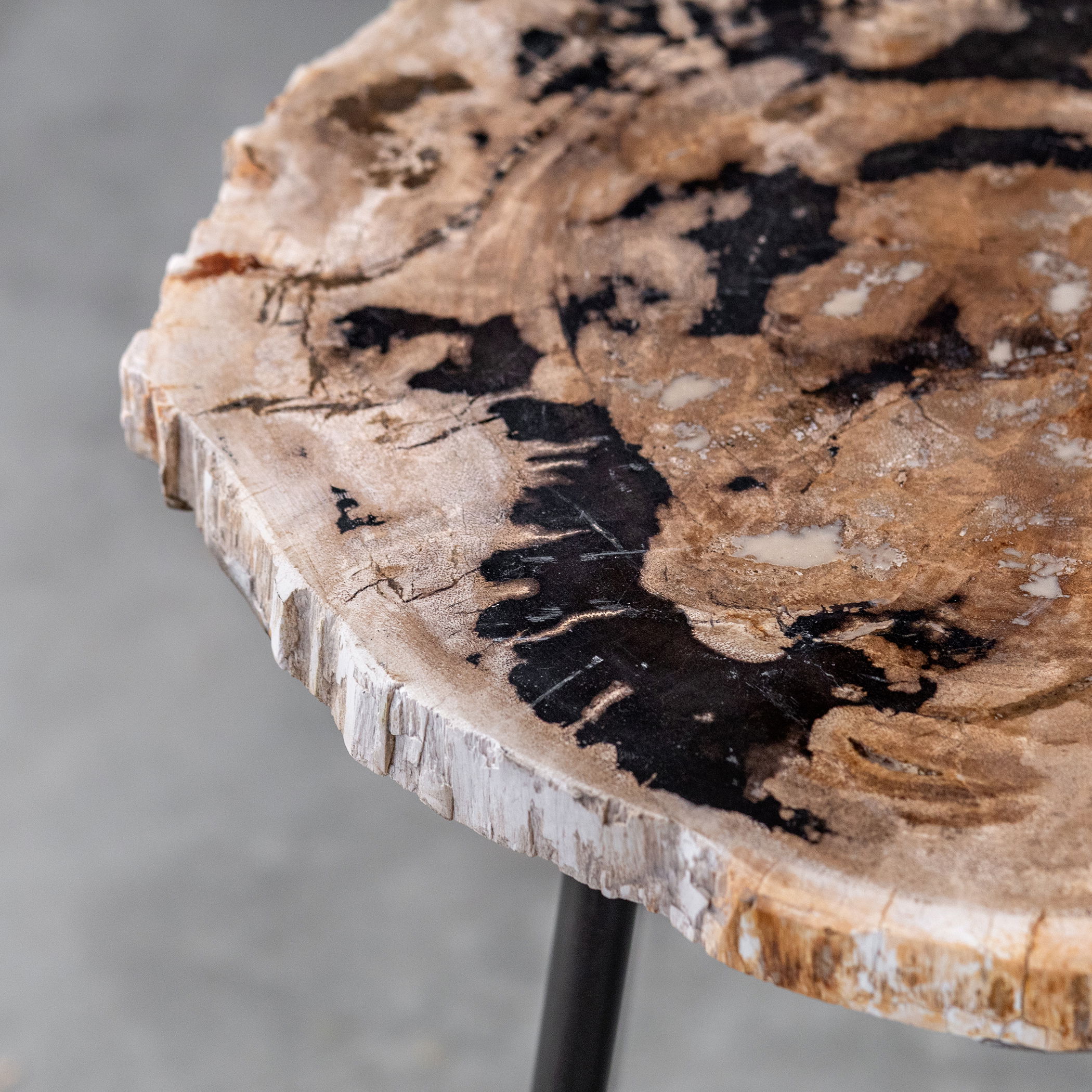 Mircea Petrified Wood Accent Table large image 