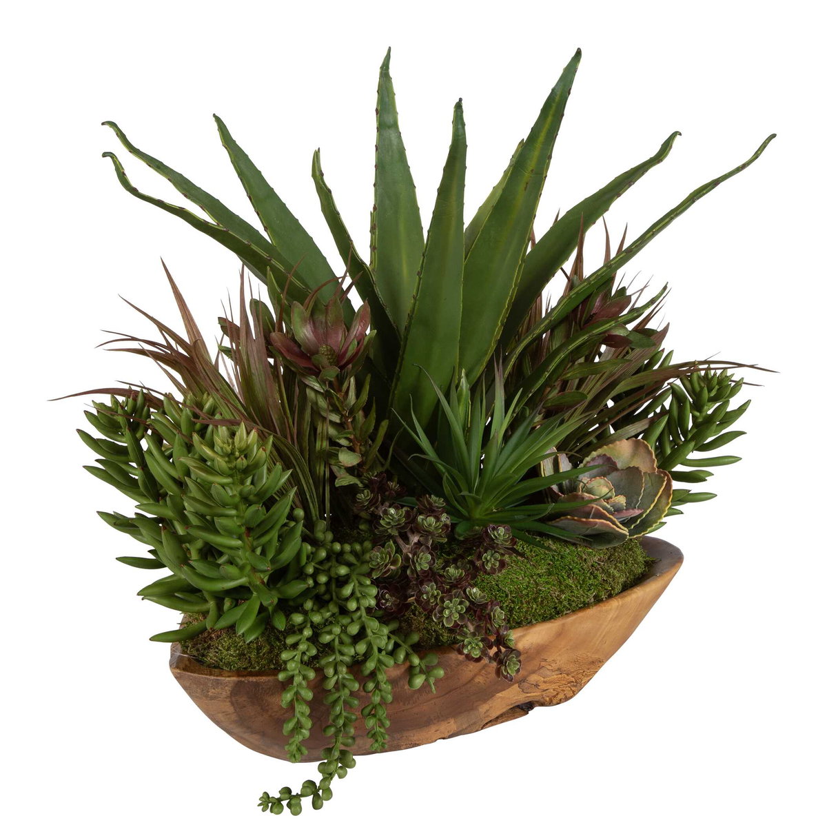 Salar Succulents In Teak Bowl, Artificial Plants & Flower by Uttermost, 22" width x 20" height x 12" depth View 3