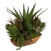 Salar Succulents In Teak Bowl, Artificial Plants & Flower by Uttermost, 22" width x 20" height x 12" depth thumbnail 3