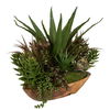 Salar Succulents In Teak Bowl, Decorative by Uttermost, 22" width x 20" height x 12" depth thumbnail 3