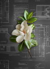 The Market Black & White Wallpaper thumbnail 1