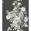 Tea Rose Black & White Wallpaper, by York Wall, 33' length x 1'8.5" width x 0.02" depth thumbnail 1