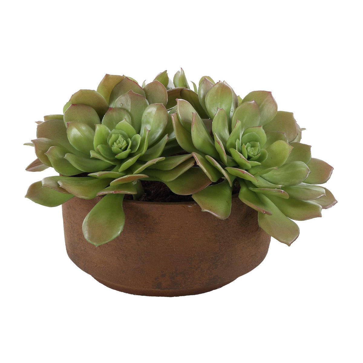 Sable Succulent Accent In Pot, Artificial Plants & Flower by Uttermost, 13.25" width x 8.5" height x 13.25" depth View 1