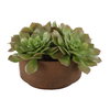 Sable Succulent Accent In Pot, Artificial Plants & Flower by Uttermost, 13.25" width x 8.5" height x 13.25" depth thumbnail 1