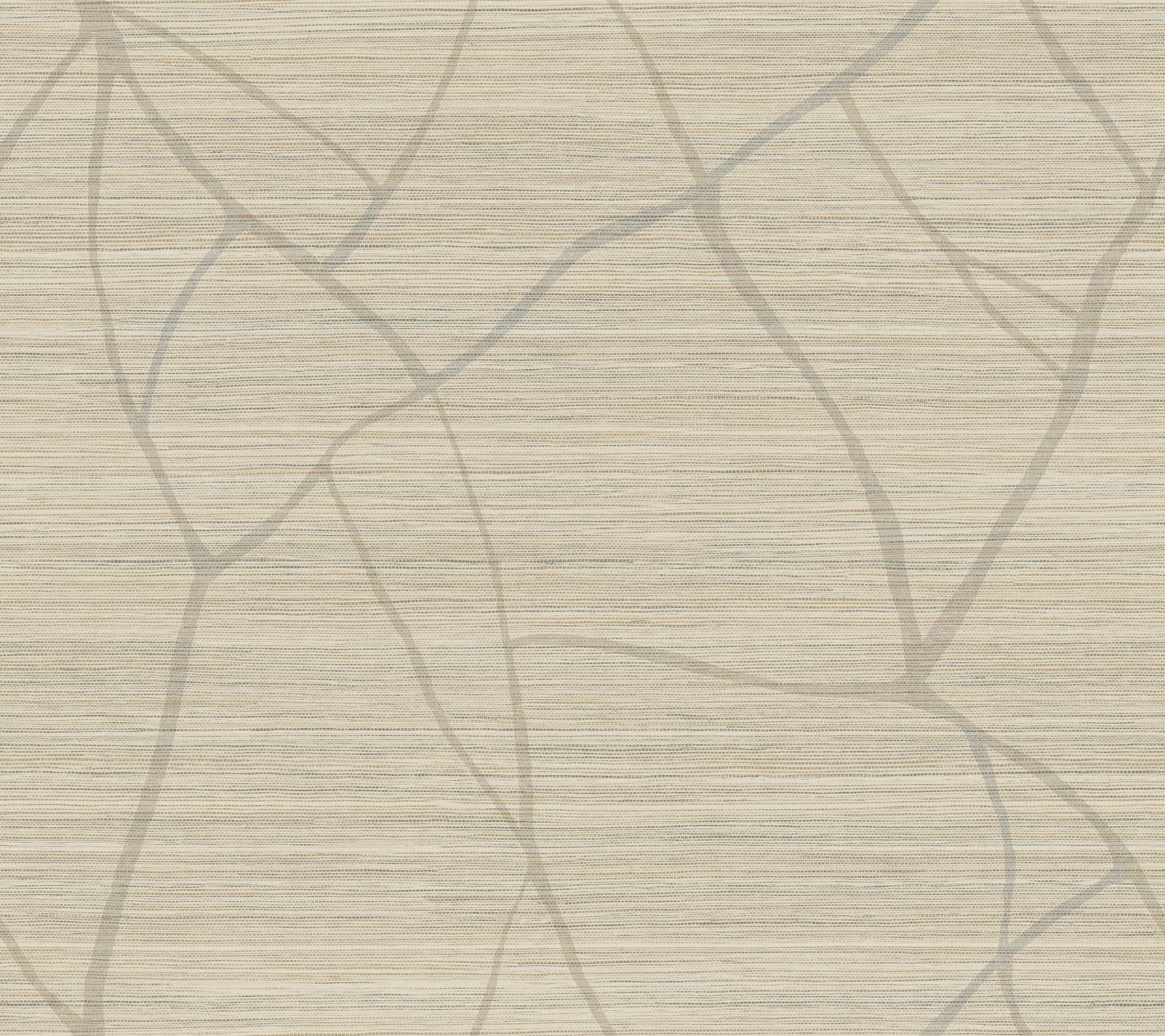 Raska Camel Wallpaper large image 