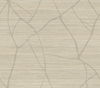 Raska Camel Wallpaper thumbnail 0