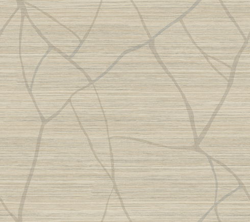 Raska Camel Wallpaper