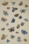 Rifle Paper Co. x Loloi Highgrove Rug, 5' length x 7'6" width thumbnail 1