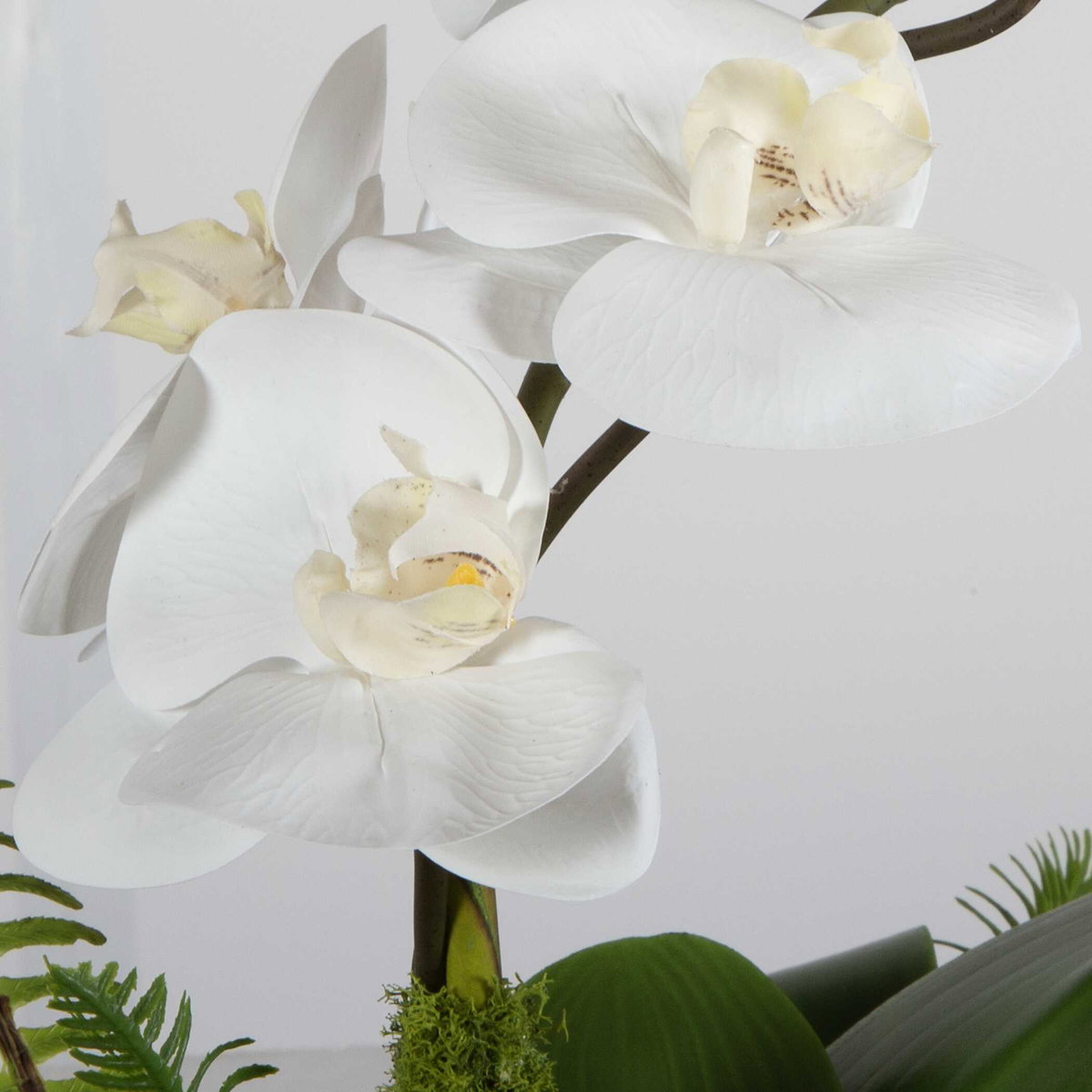 Transcend Orchid Centerpiece, Artificial Plants & Flower by Uttermost, 18" width x 16" height x 16" depth View 5