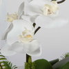 Transcend Orchid Centerpiece, Artificial Plants & Flower by Uttermost, 18" width x 16" height x 16" depth thumbnail 5
