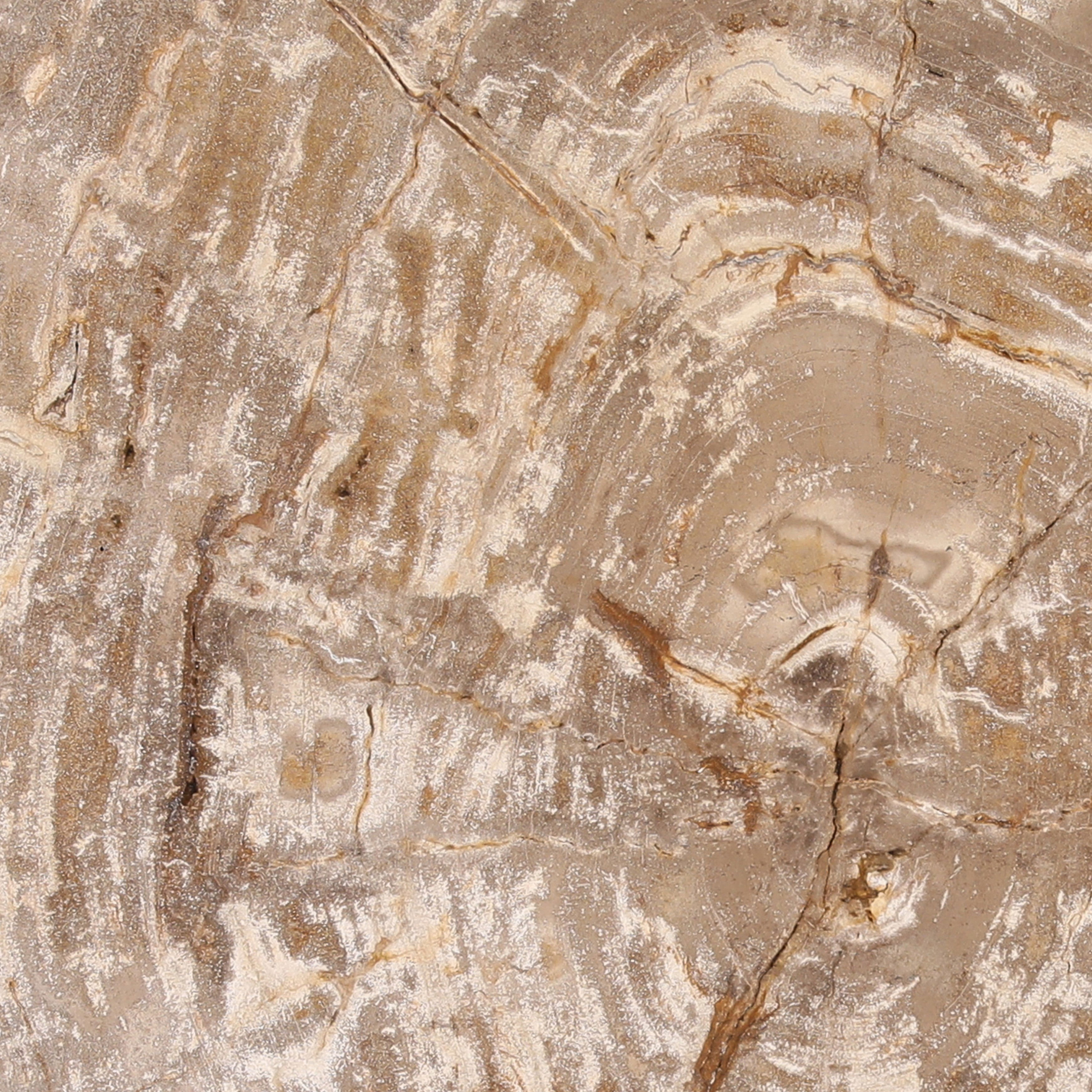 Brittany Coffee Table Natural Small, by Dovetail, 21.65" width x 13.1" height x 21.65" diameter x 21.65" depth View 3