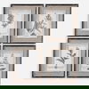 Casual Grey Study Framed Art Set/4, Painting by Uttermost, 14.5" width x 17.5" height x 1" depth thumbnail 1