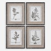 Casual Grey Study Framed Art Set/4, by Uttermost, 1'2.5" width x 1'5.5" height x 1" depth thumbnail 1