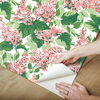 Bar Harbor Southampton Pink Peel & Stick Wallpaper thumbnail 6