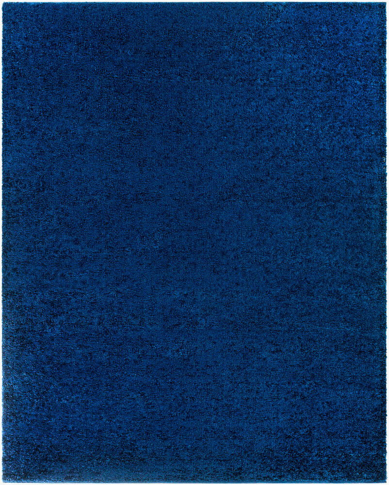 Bliss Shag Machine Woven Rug large image 
