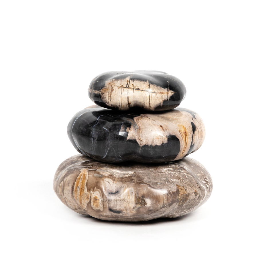 Petrified Wood Organic Sculpture, Set Of 3