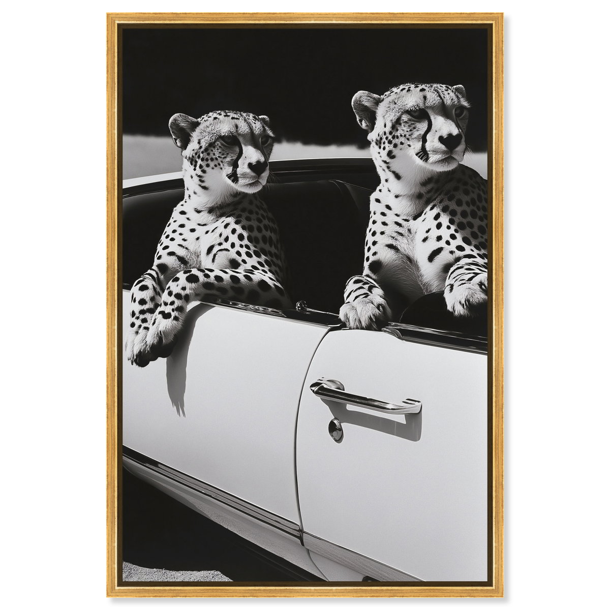 Convertible Feline II (No Embellishment), Art by Oliver Gal,  20x30 View 1